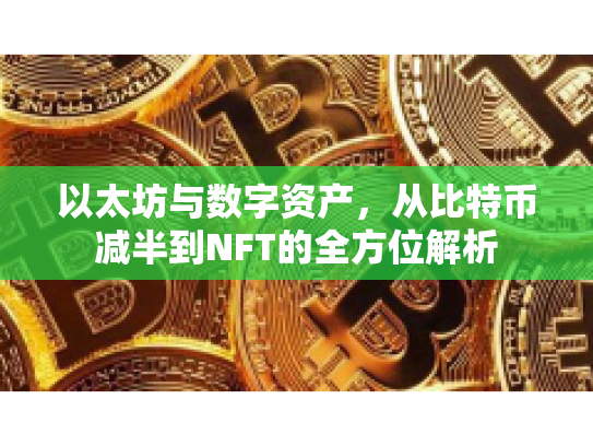 以太坊与数字资产，从比特币减半到NFT的全方位解析