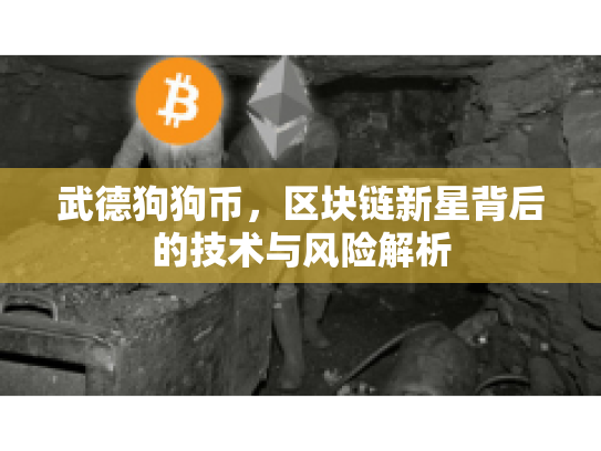 武德狗狗币,区块链新星背后的技术与风险解析 武德狗狗币,区块链新星背后的技术与风险解析