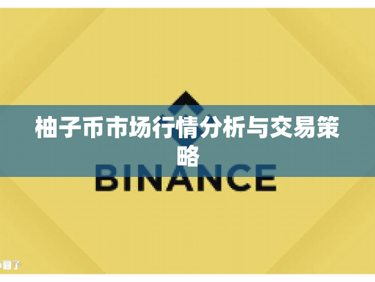 柚子币市场行情分析与交易策略