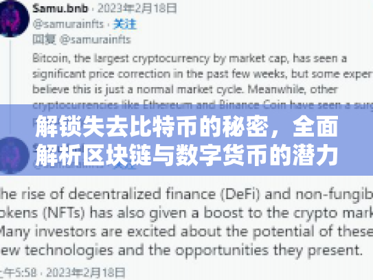 解锁失去比特币的秘密,全面解析区块链与数字货币的潜力与风险 解锁失去比特币的秘密,全面解析区块链与数字货币的潜力与风险