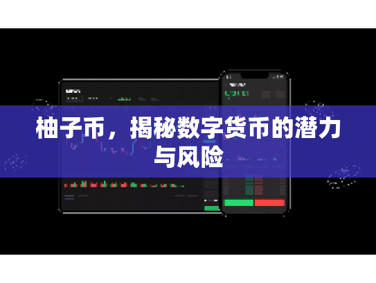 柚子币，揭秘数字货币的潜力与风险