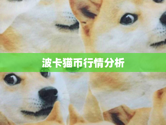 波卡猫币行情分析