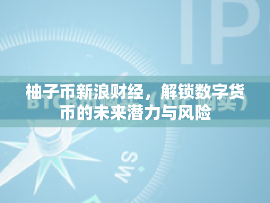 柚子币新浪财经，解锁数字货币的未来潜力与风险