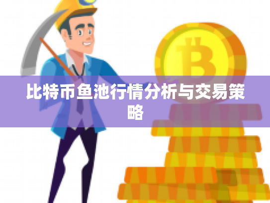 比特币鱼池行情分析与交易策略