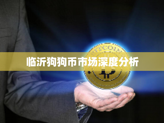 临沂狗狗币市场深度分析 临沂狗狗币市场深度分析
