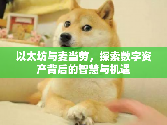 以太坊与麦当劳，探索数字资产背后的智慧与机遇