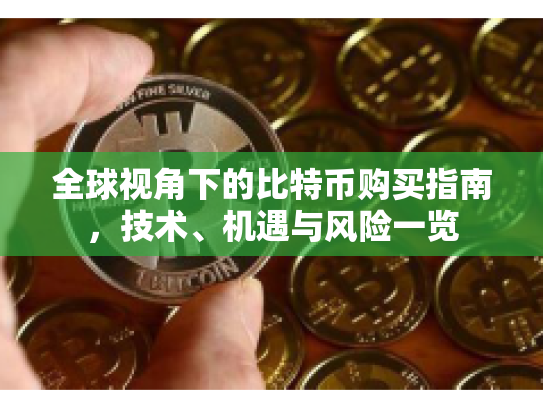 全球视角下的比特币购买指南，技术、机遇与风险一览