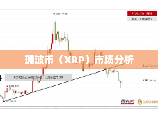 瑞波币（XRP）市场分析