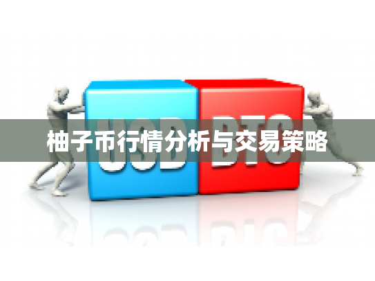 柚子币行情分析与交易策略