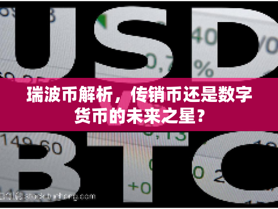 瑞波币解析，传销币还是数字货币的未来之星？