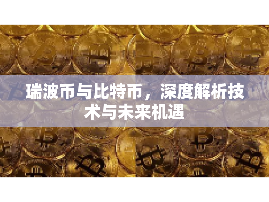 瑞波币与比特币，深度解析技术与未来机遇