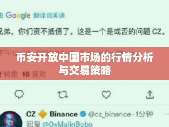 币安开放中国市场的行情分析与交易策略 币安开放中国市场的行情分析与交易策略