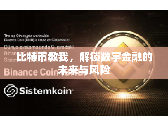 比特币教我，解锁数字金融的未来与风险