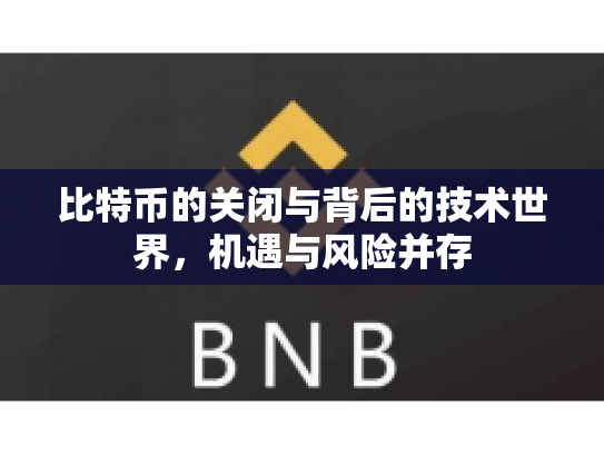 比特币的关闭与背后的技术世界，机遇与风险并存