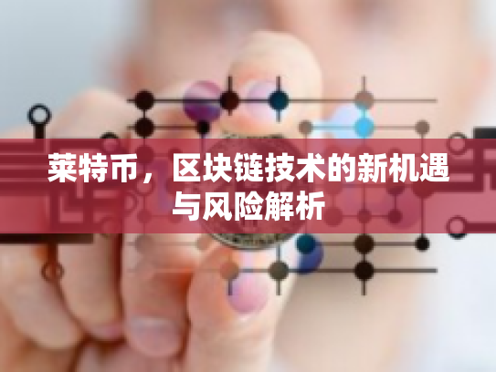 莱特币，区块链技术的新机遇与风险解析
