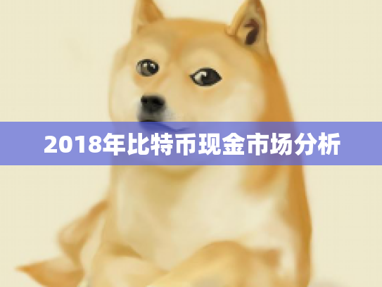 2018年比特币现金市场分析
