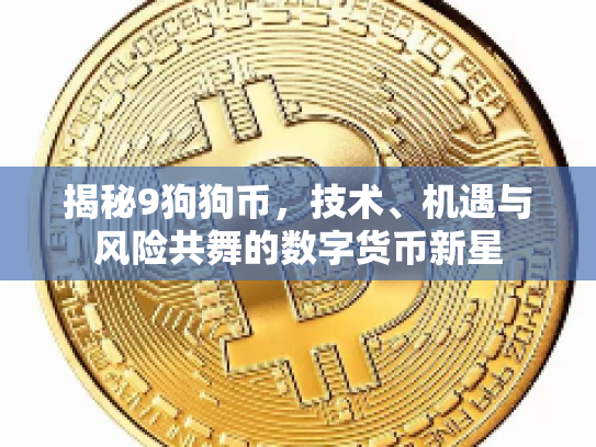 揭秘9狗狗币，技术、机遇与风险共舞的数字货币新星