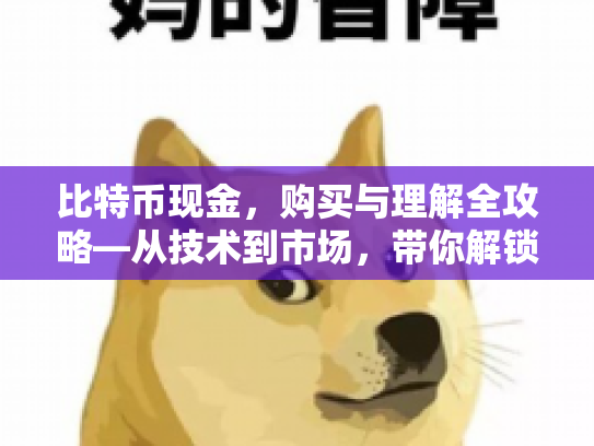 比特币现金，购买与理解全攻略—从技术到市场，带你解锁数字资产新篇章