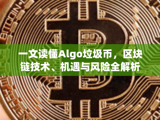 一文读懂Algo垃圾币，区块链技术、机遇与风险全解析