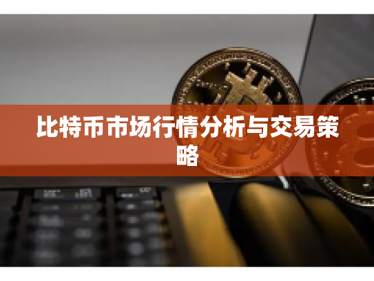 比特币市场行情分析与交易策略 比特币市场行情分析与交易策略