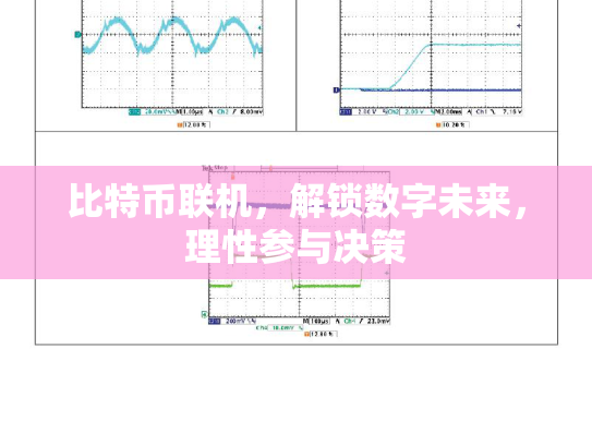 比特币联机,解锁数字未来,理性参与决策 比特币联机,解锁数字未来,理性参与决策