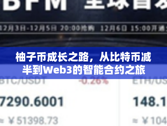 柚子币成长之路，从比特币减半到Web3的智能合约之旅