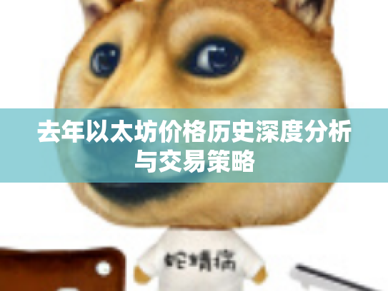 去年以太坊价格历史深度分析与交易策略