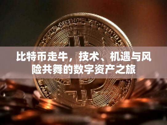 比特币走牛,技术、机遇与风险共舞的数字资产之旅 比特币走牛,技术、机遇与风险共舞的数字资产之旅