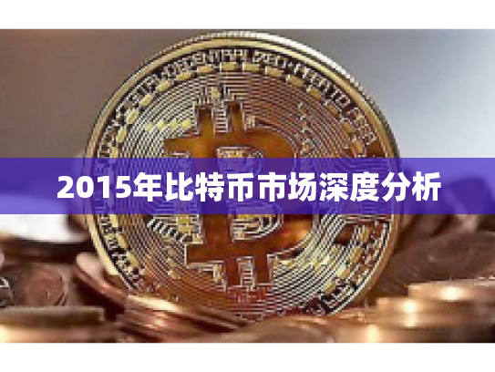 2015年比特币市场深度分析 2015年比特币市场深度分析