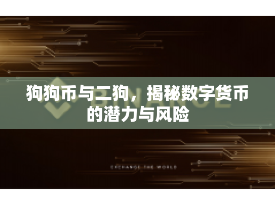 狗狗币与二狗,揭秘数字货币的潜力与风险 狗狗币与二狗,揭秘数字货币的潜力与风险