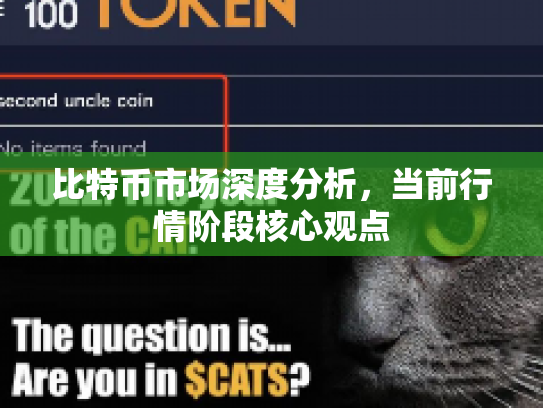 比特币市场深度分析,当前行情阶段核心观点 比特币市场深度分析,当前行情阶段核心观点