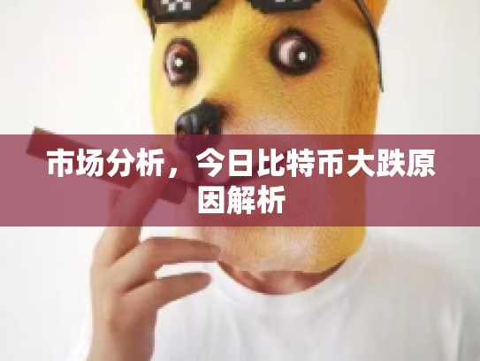 市场分析,今日比特币大跌原因解析 市场分析,今日比特币大跌原因解析