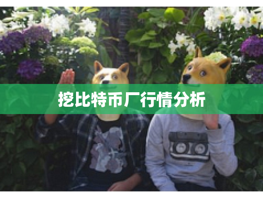 挖比特币厂行情分析 挖比特币厂行情分析