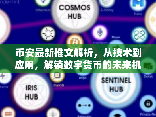 币安最新推文解析，从技术到应用，解锁数字货币的未来机遇与风险