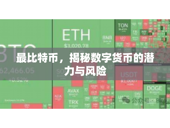 最比特币,揭秘数字货币的潜力与风险 最比特币,揭秘数字货币的潜力与风险