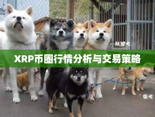 XRP币圈行情分析与交易策略 XRP币圈行情分析与交易策略