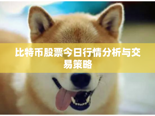 比特币股票今日行情分析与交易策略 比特币股票今日行情分析与交易策略