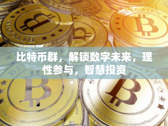 比特币群,解锁数字未来,理性参与,智慧投资 比特币群,解锁数字未来,理性参与,智慧投资
