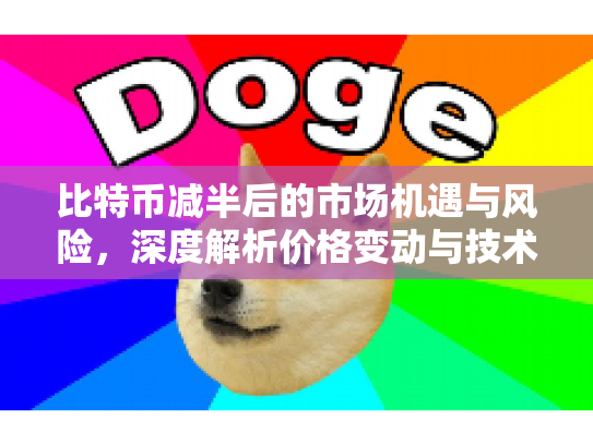 比特币减半后的市场机遇与风险,深度解析价格变动与技术原理 比特币减半后的市场机遇与风险,深度解析价格变动与技术原理