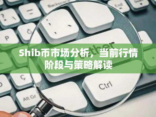 Shib币市场分析,当前行情阶段与策略解读 Shib币市场分析,当前行情阶段与策略解读