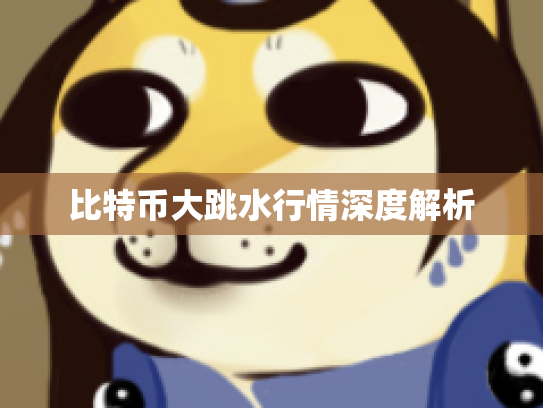 比特币大跳水行情深度解析 比特币大跳水行情深度解析