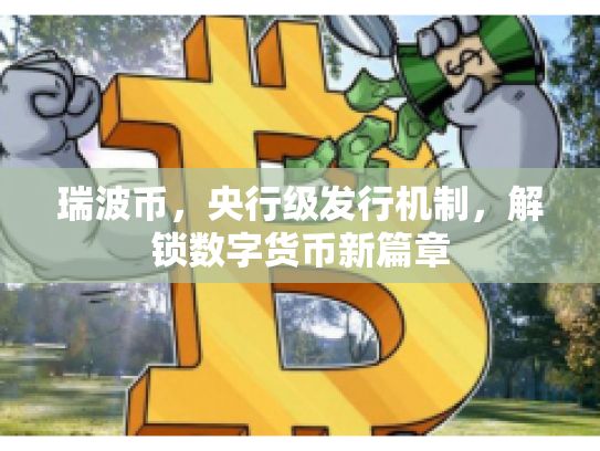 瑞波币,央行级发行机制,解锁数字货币新篇章 瑞波币,央行级发行机制,解锁数字货币新篇章