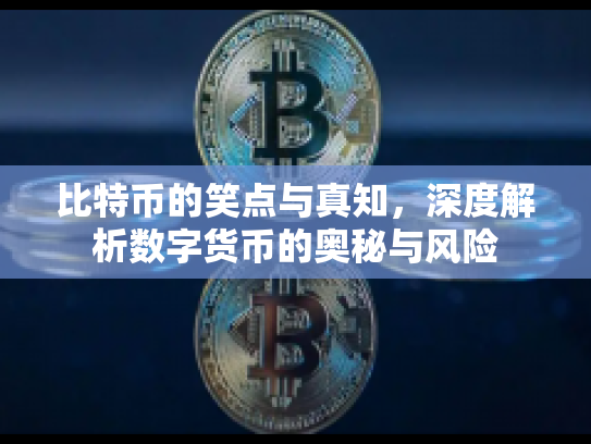 比特币的笑点与真知,深度解析数字货币的奥秘与风险 比特币的笑点与真知,深度解析数字货币的奥秘与风险