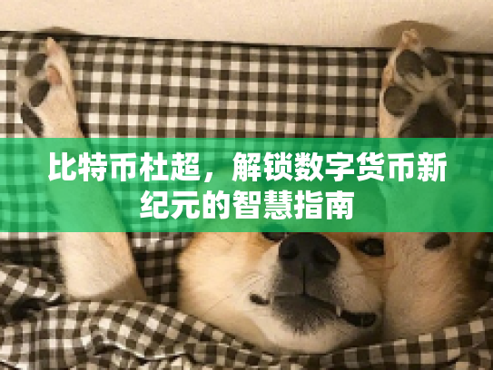 比特币杜超,解锁数字货币新纪元的智慧指南 比特币杜超,解锁数字货币新纪元的智慧指南