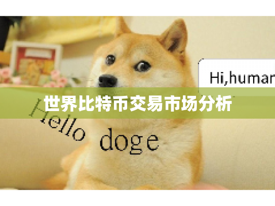 世界比特币交易市场分析