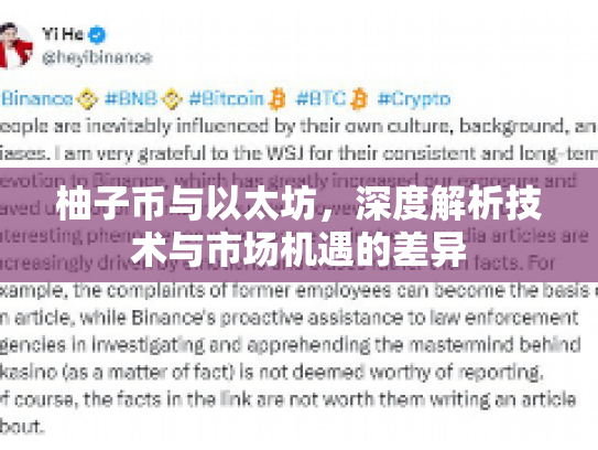 柚子币与以太坊,深度解析技术与市场机遇的差异 柚子币与以太坊,深度解析技术与市场机遇的差异