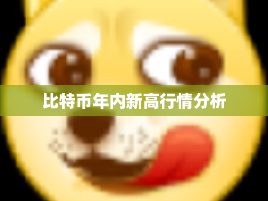 比特币年内新高行情分析 比特币年内新高行情分析