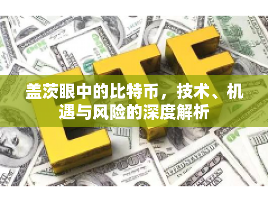 盖茨眼中的比特币,技术、机遇与风险的深度解析 盖茨眼中的比特币,技术、机遇与风险的深度解析