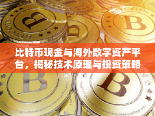 比特币现金与海外数字资产平台,揭秘技术原理与投资策略 比特币现金与海外数字资产平台,揭秘技术原理与投资策略