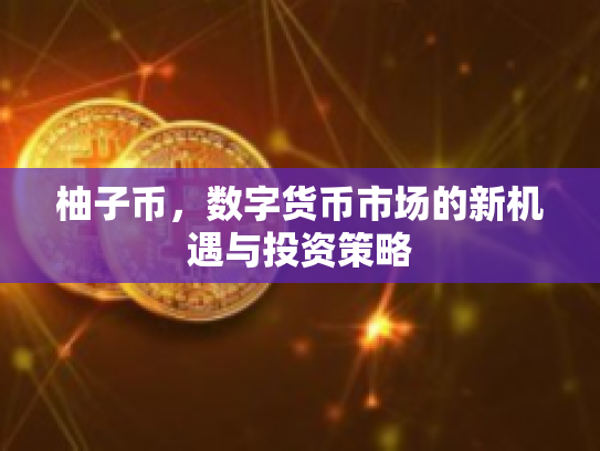 柚子币，数字货币市场的新机遇与投资策略